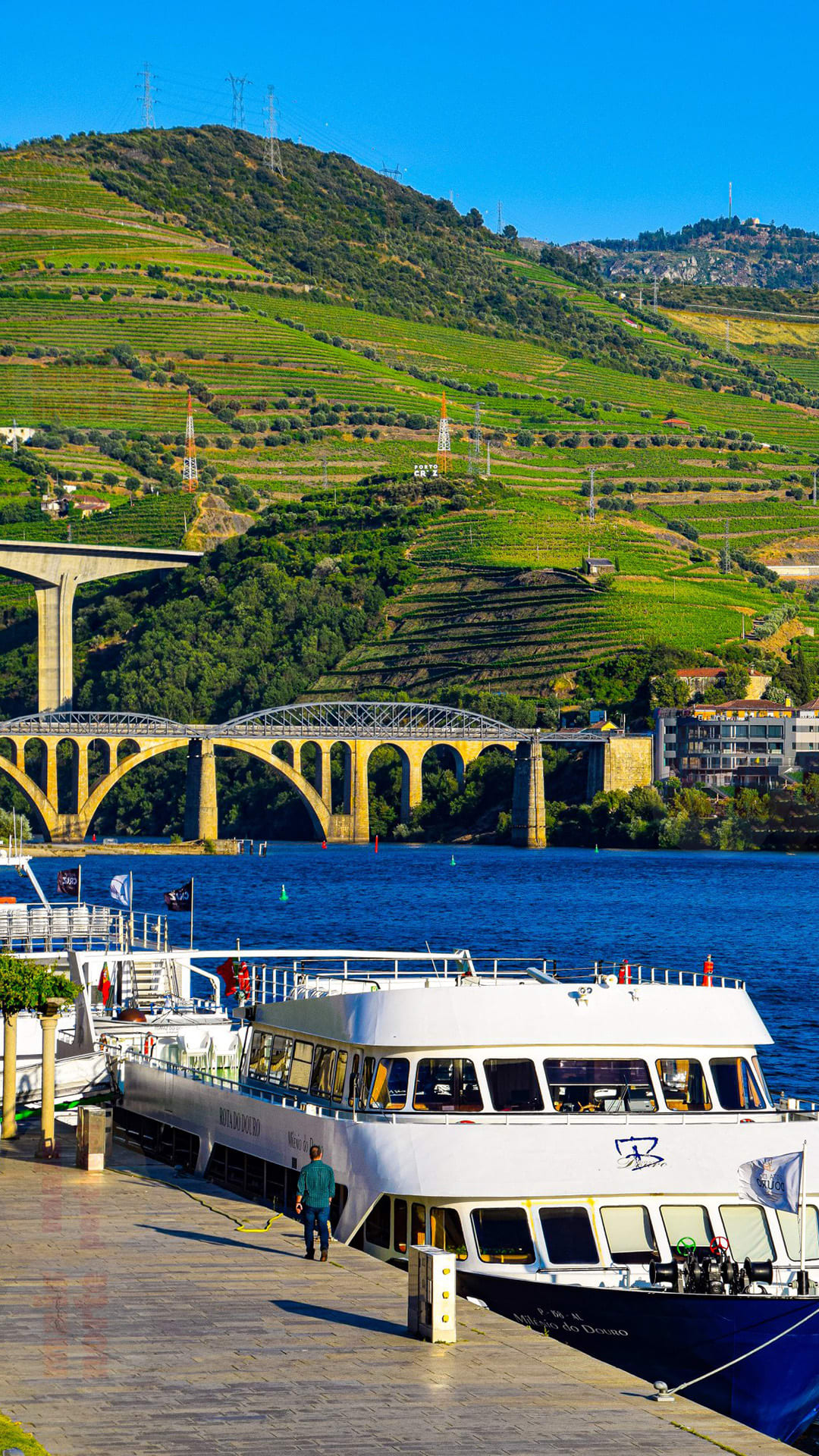 Vale do Douro - Portugal