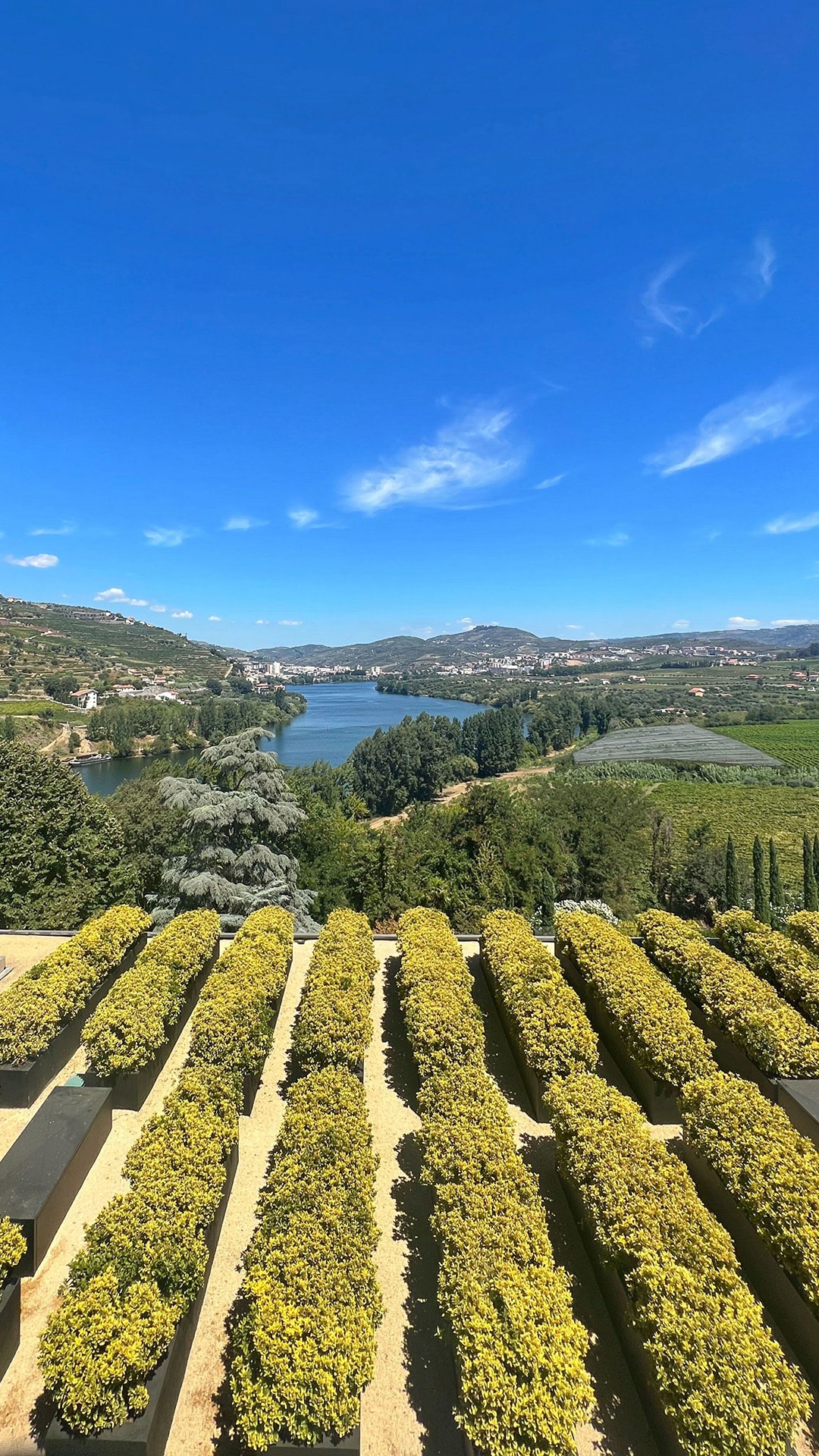 Vale do Douro - Portugal