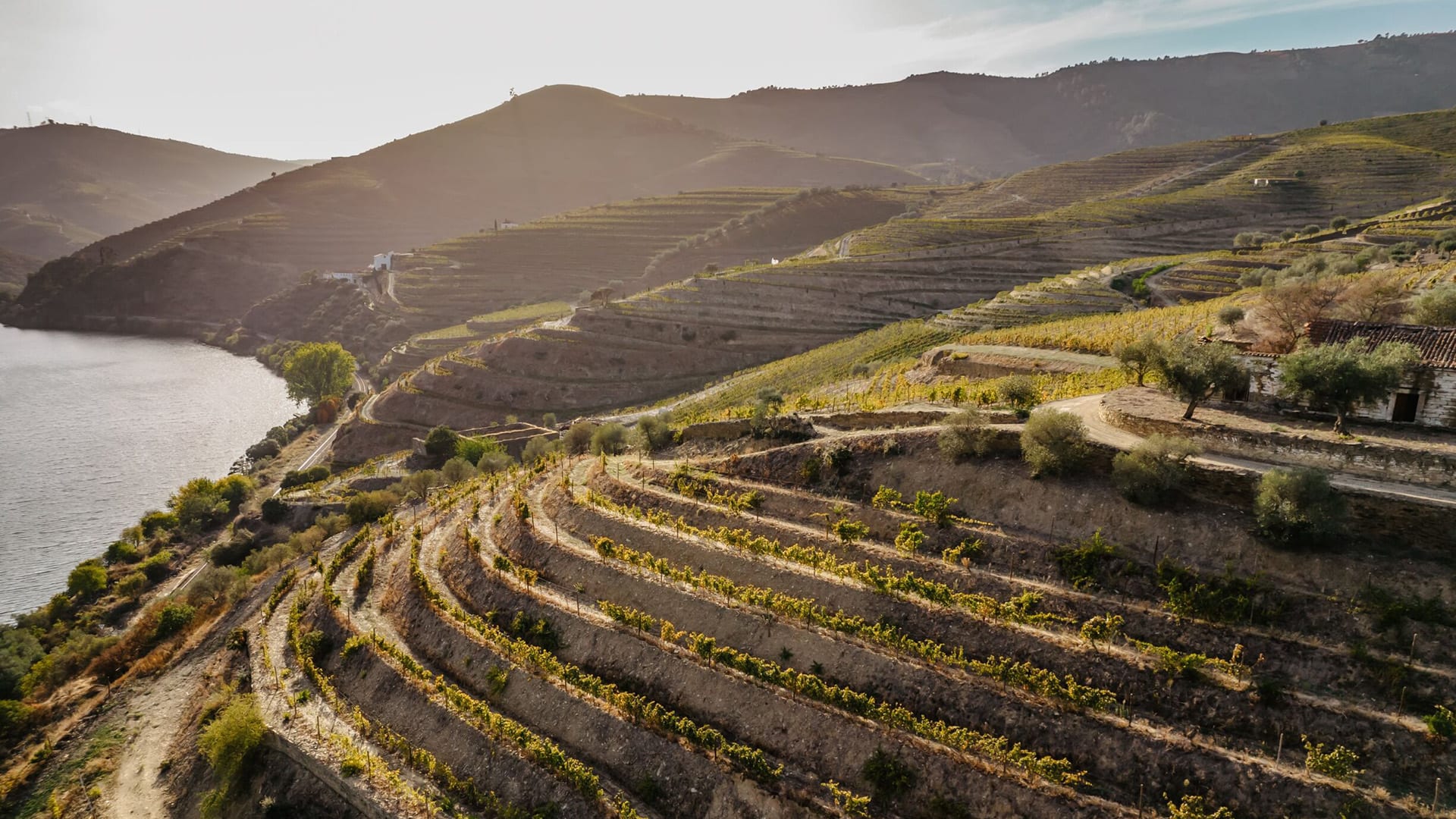 Vale do Douro - Portugal
