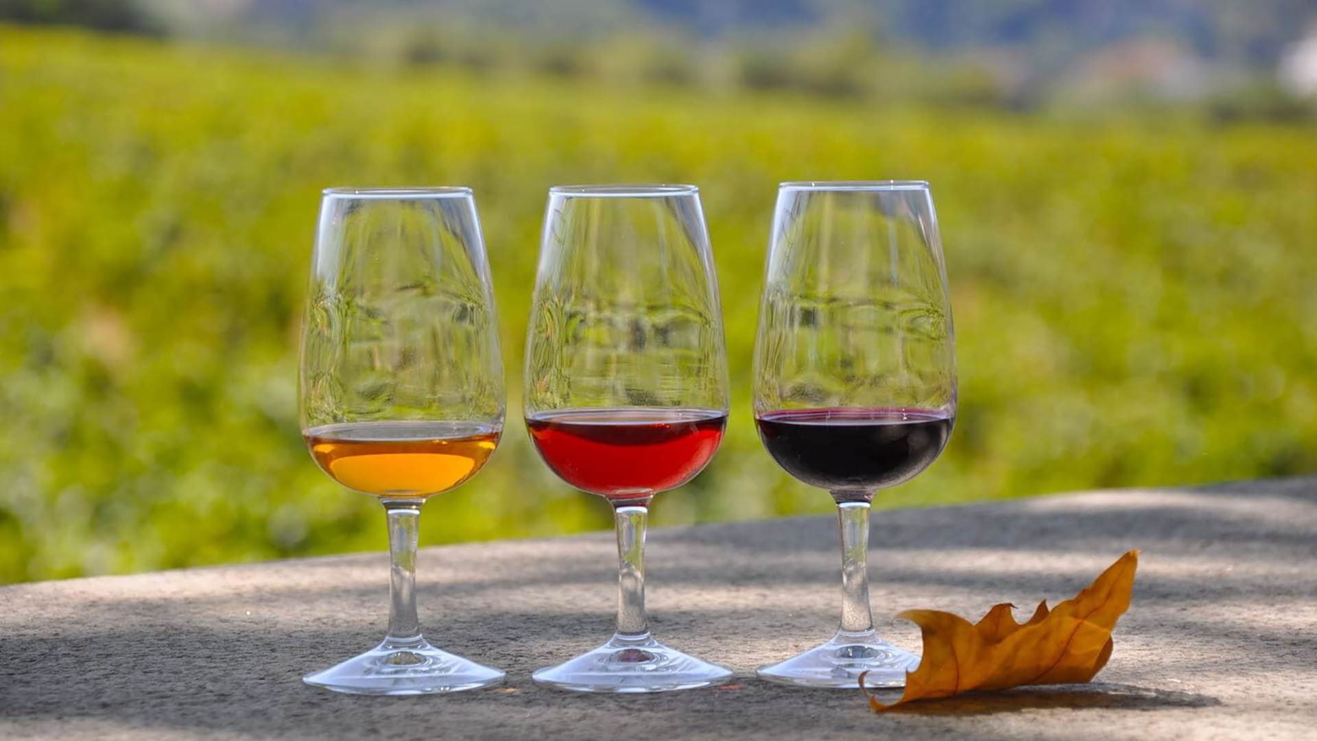 Vale do Douro - Portugal