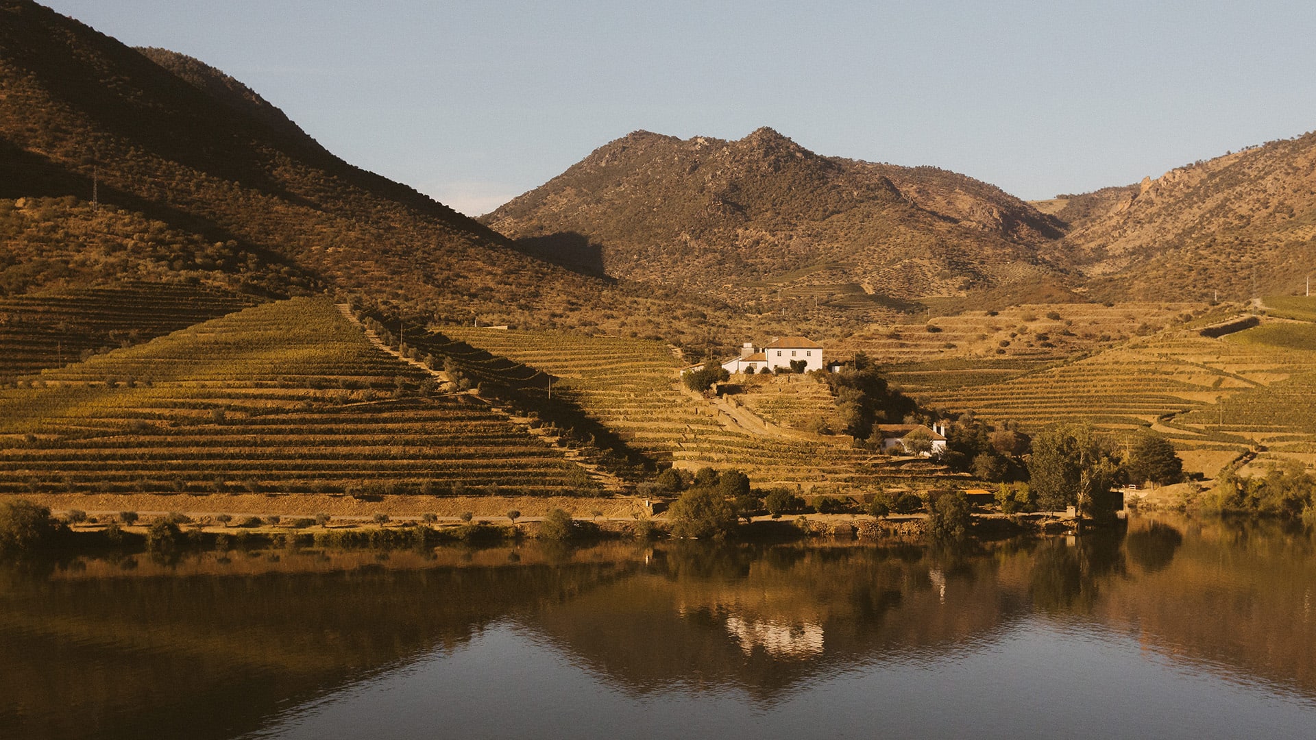 Vale do Douro - Portugal