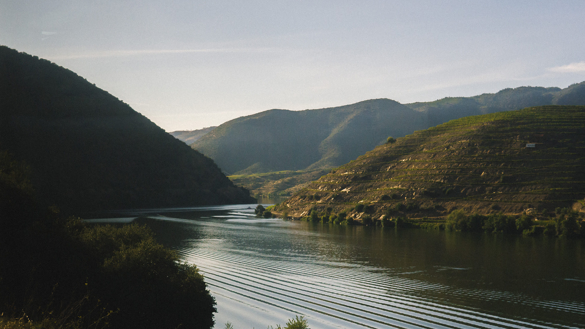Vale Do Douro - Portugal