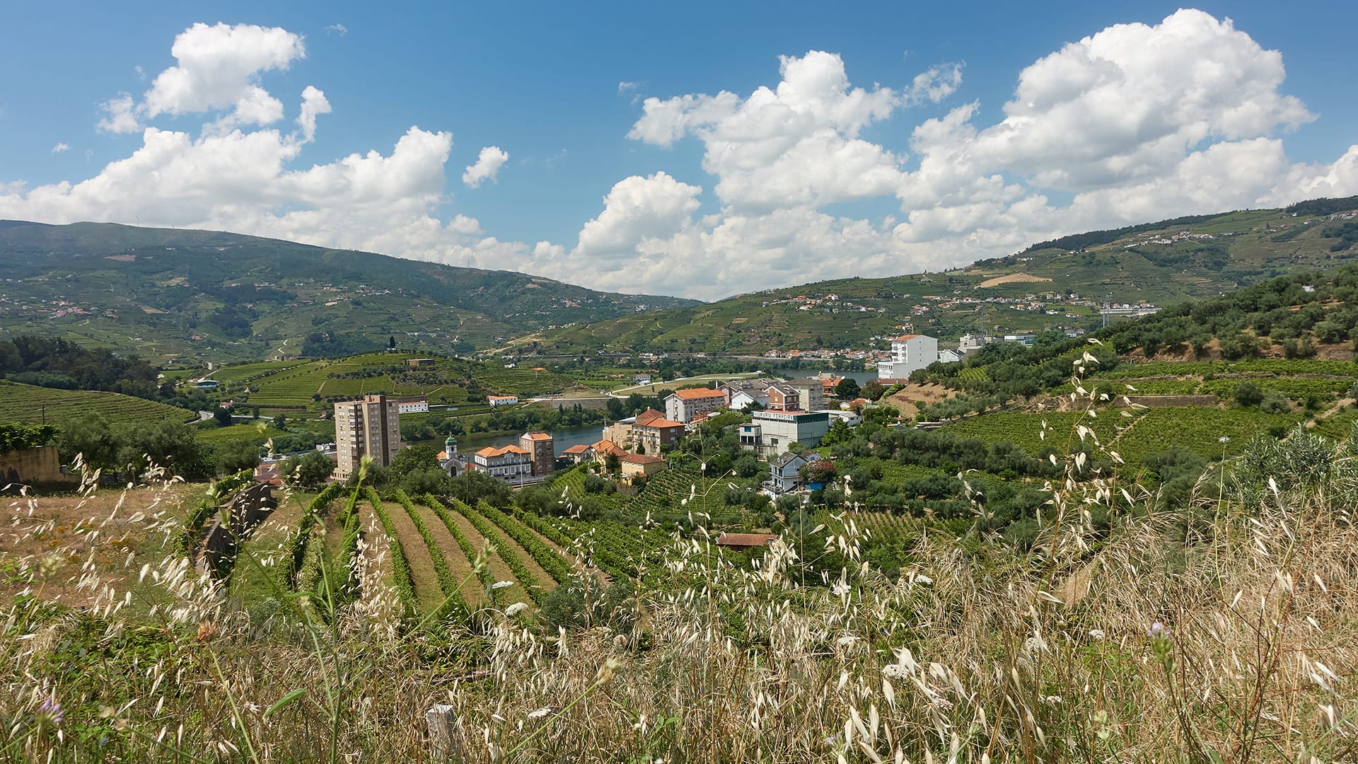 Vale do Douro - Portugal