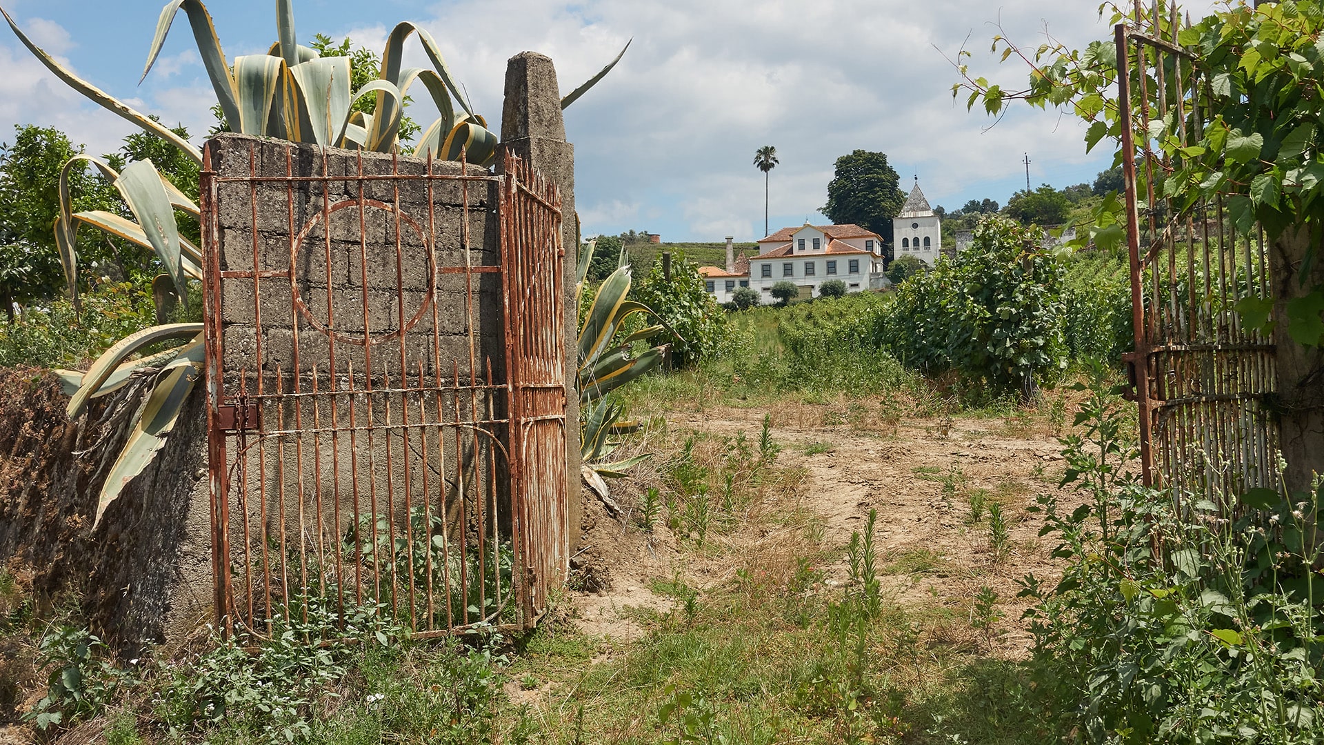 Vale do Douro - Portugal