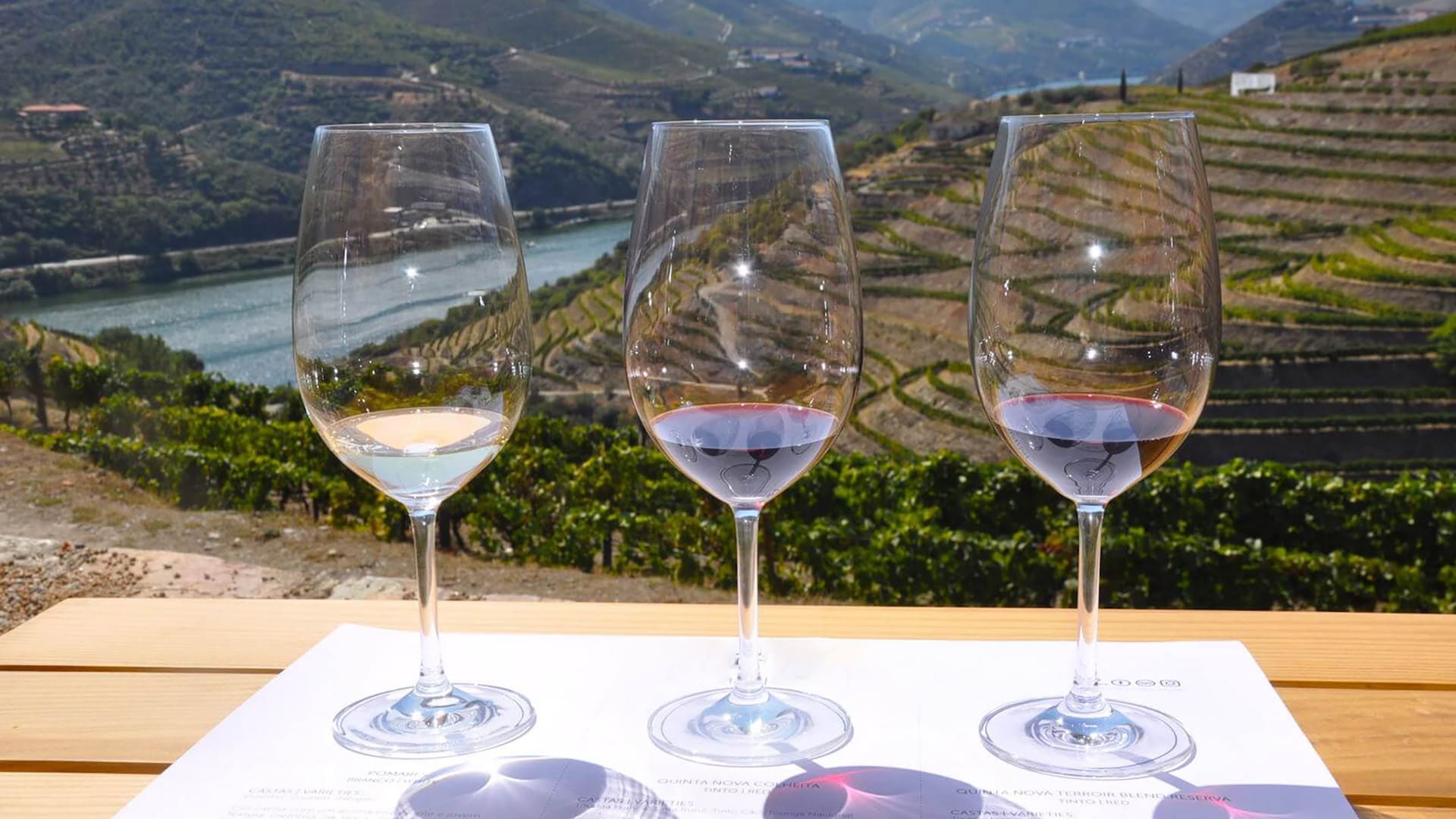 Vale do Douro - Portugal