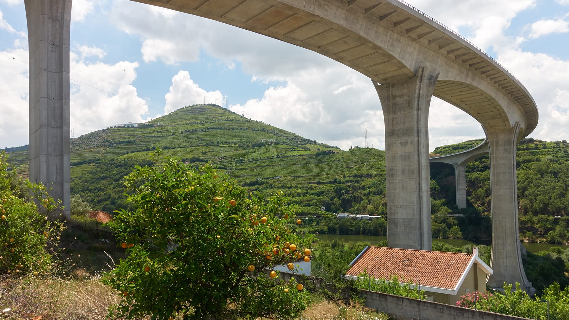 Vale do Douro - Portugal