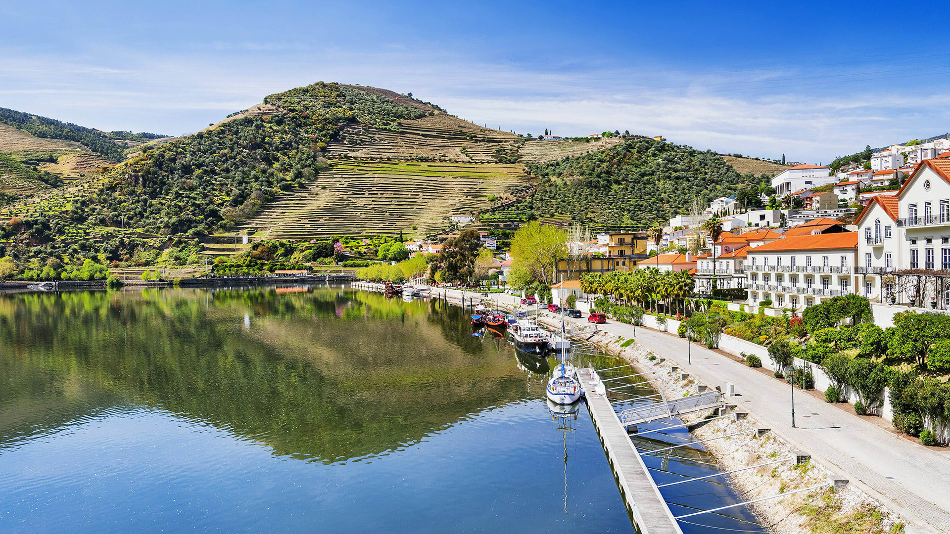 Vale Do Douro - Portugal