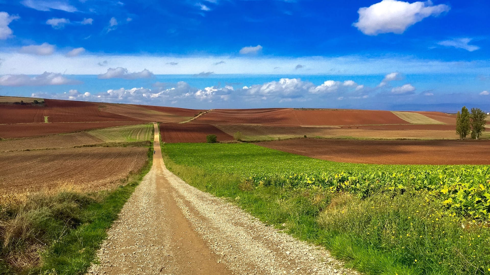 Santiago de Compostela - Espanha